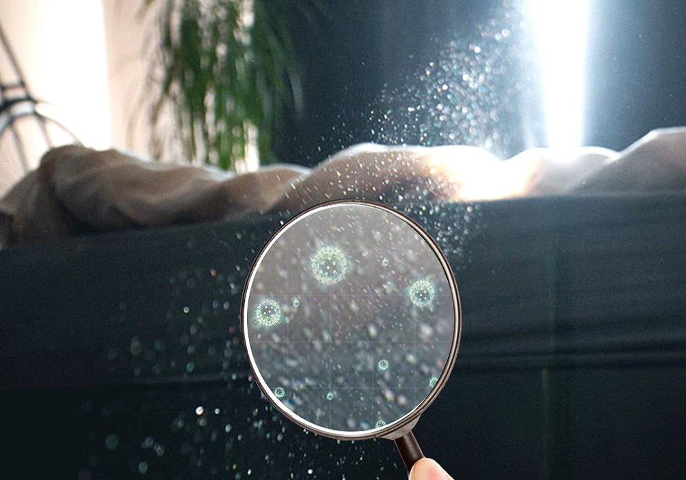 Airborne & Surface Disinfection